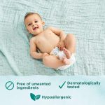 Brand - Mama Bear Gentle Fragrance-Free Baby Wipes, Hypoallergenic, 800 Count, 100 Count (Pack of 8) - Image 7